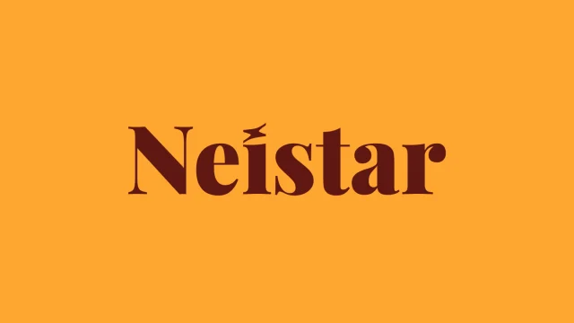 Neistar – og Hollvinafélag Neista