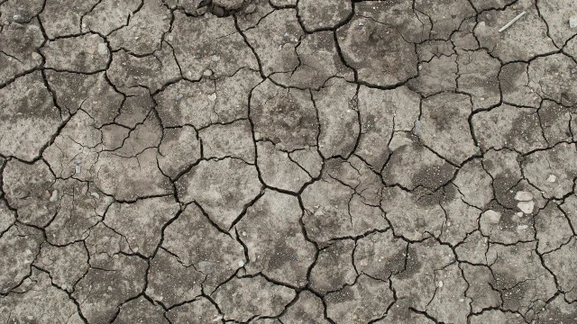 Það sem allir friðarsinnar þurfa að vita um umhverfismál og kapítalisma