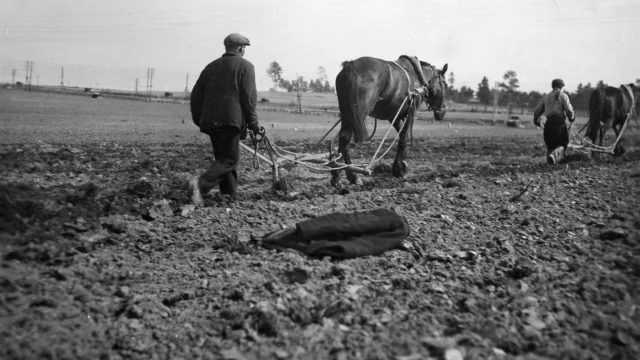 Orsakaði samyrkjuherferðin hungursneyðina 1933?