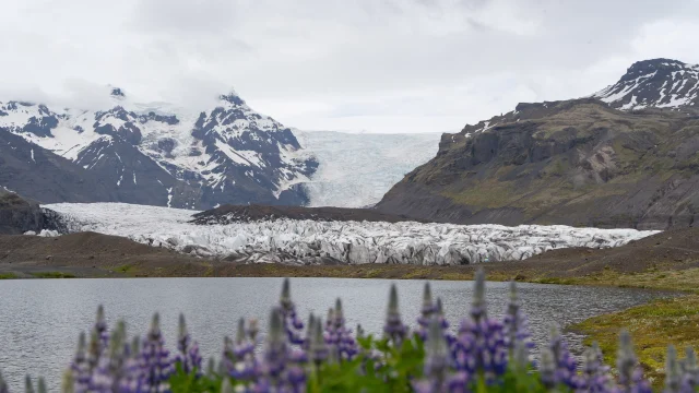 Ef jörðin kostar túkall