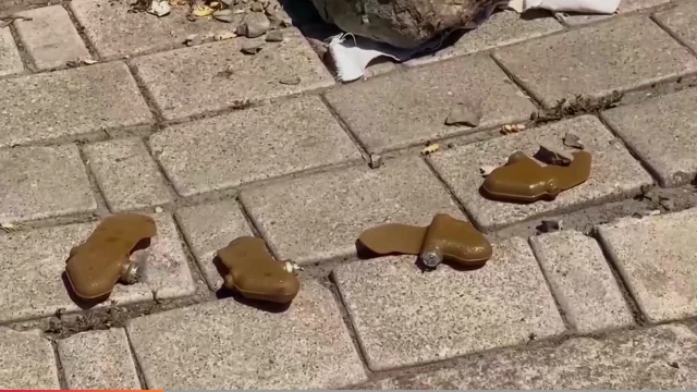Skipta bara sumir Úkraínumenn máli?