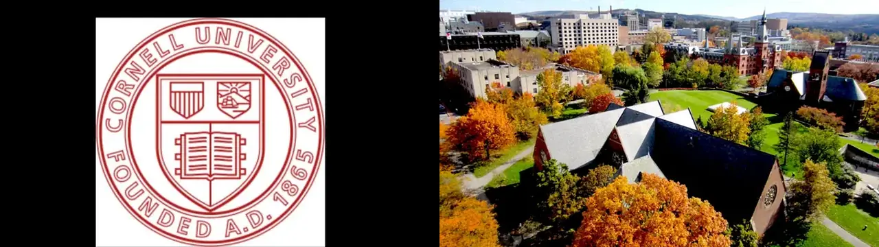 Chris Hedges tengir nauðgunarfrétt frá Cornell við menningu stúdentabræðralaga