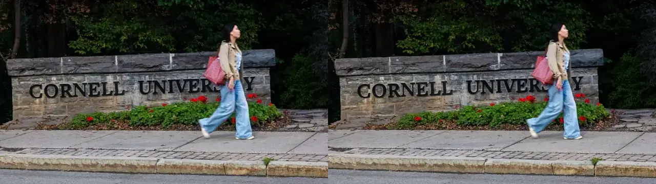 Cornell-háskóli sætir málsókn og athugun vegna meintrar nauðgunar í bræðrafélagi